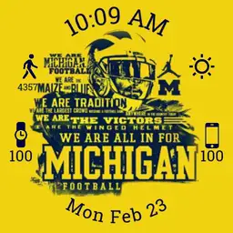 University of Michigan Watch