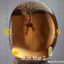 Amber Mosquito