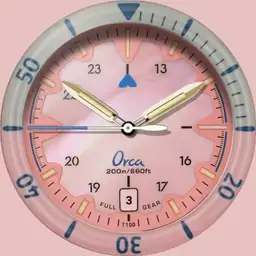 Fullgear diver orca salmon