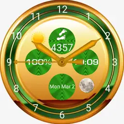 Golden watch