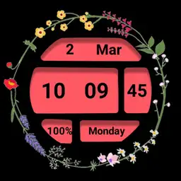 Grid display ucolor with 3 floral borders