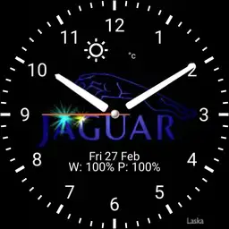 Flashy Jaguar