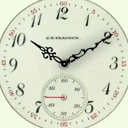 Diz Old pocketwatch