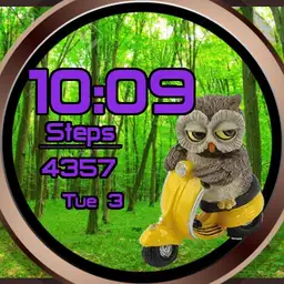 owl on a scoot