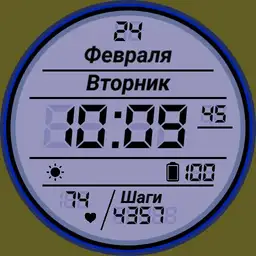 SDLCD_Blue