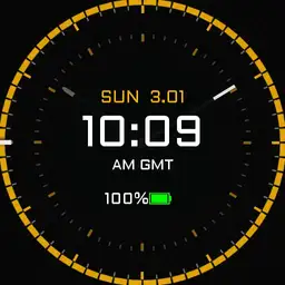 Division Suunto Alt2