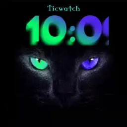 ticwatch eyes