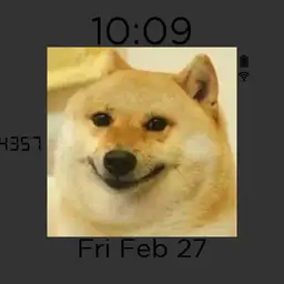 doge watch