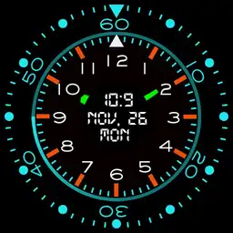 Diver