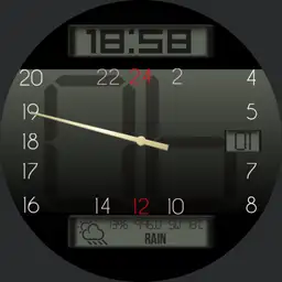 SNORK N3.1