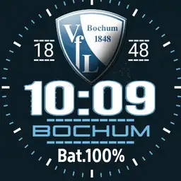 VFLBochum digi