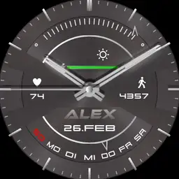 Alex Segment Real 3D Steel II