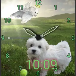Angle dogs