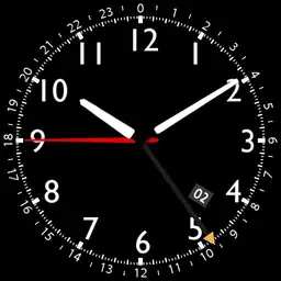 Pilot Watch