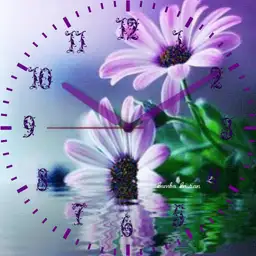 Daisies for Lucy