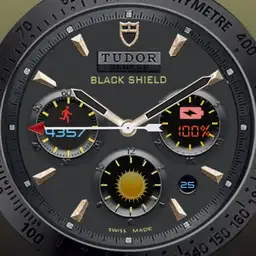 TUDOR elegante 2