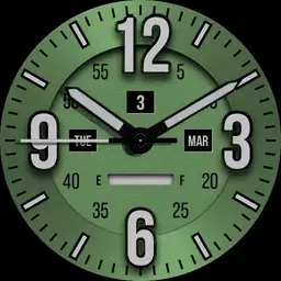 Brute Military Field Watch Colours