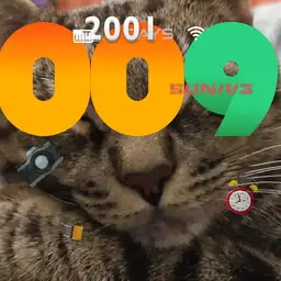 Simba Watch