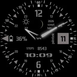 rpi-31