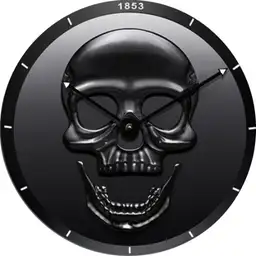Lige-Black-Skull