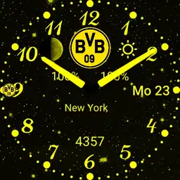 BVB09