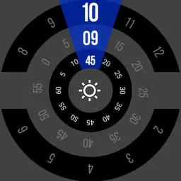 MT81 - Rotor