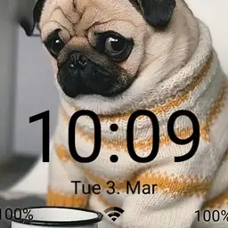 Pug