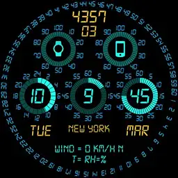 RADIAL GAGE 1 Copy