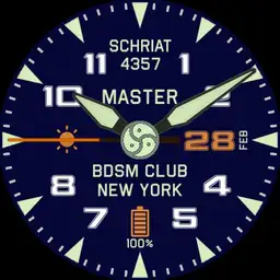 Aeromaster Pilot Copy
