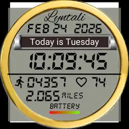 Lyntali Stopwatch S7