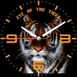 Eye of the Tiger