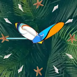 the tropics