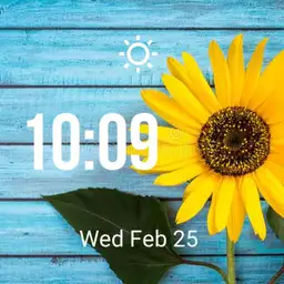 Sunflower