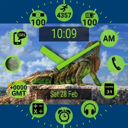 TB03-round-lizard