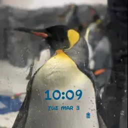 Penguin
