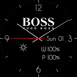 Hugo Boos by Zsolt