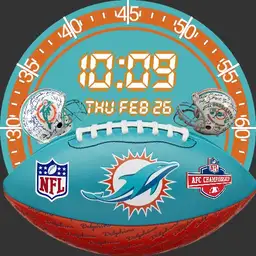 Miami Dolphins005