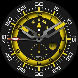 Brute CAMINO Military Field Watch Compass Colours