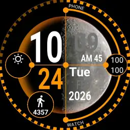 Ticwatch v2