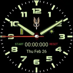 Forces Watch SAS