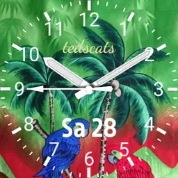 Hawaii 12
