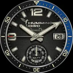 HummingBird ChronoDive 160325