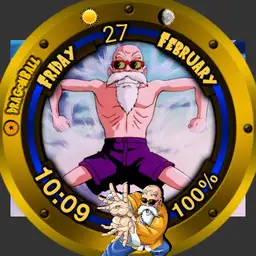 Master Roshi Dragon Ball