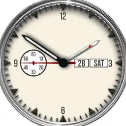 Standard watch