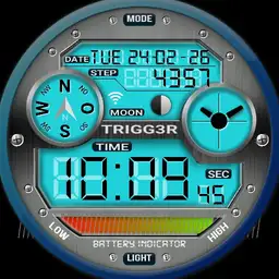 Trigg3r Digi