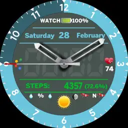 Steps and Google assistant a exporter Mod Nspz_73 Pour Ticwatch C2 seulement