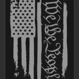 SB we the people Apple Copy