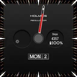 Holmes Regulator Copy
