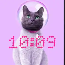 space cat