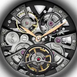 Arnold and Son tourbillon